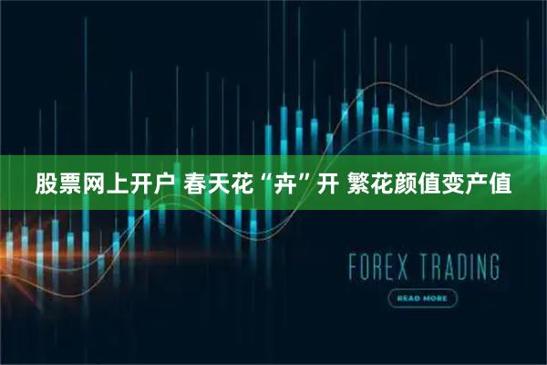 股票网上开户 春天花“卉”开 繁花颜值变产值
