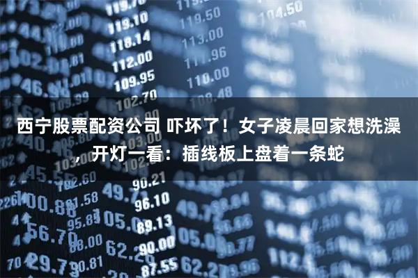 西宁股票配资公司 吓坏了！女子凌晨回家想洗澡，开灯一看：插线板上盘着一条蛇